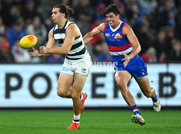 AFL 2023 Round 12 - Western Bulldogs v Geelong - A-1737004