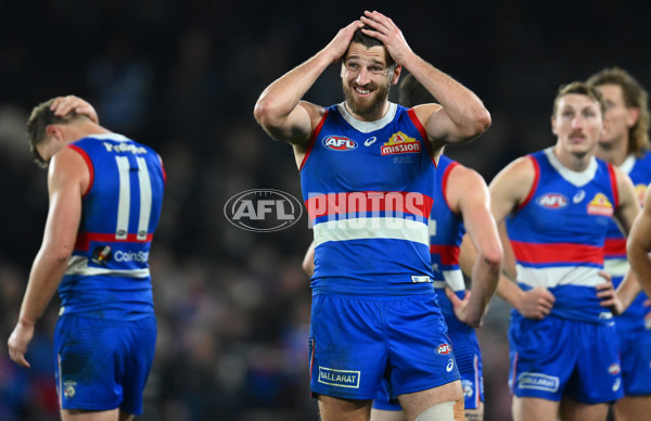 AFL 2023 Round 12 - Western Bulldogs v Geelong - A-1737008