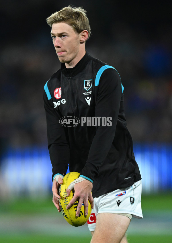 AFL 2023 Round 13 - Western Bulldogs v Port Adelaide - A-1782237