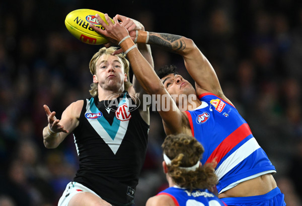 AFL 2023 Round 13 - Western Bulldogs v Port Adelaide - A-1786604