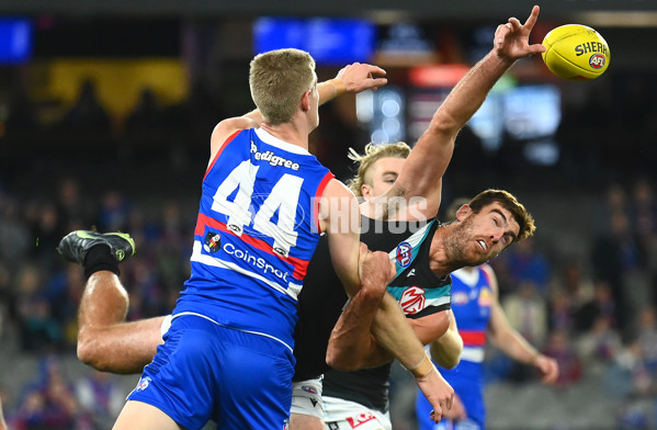 AFL 2023 Round 13 - Western Bulldogs v Port Adelaide - A-1786636