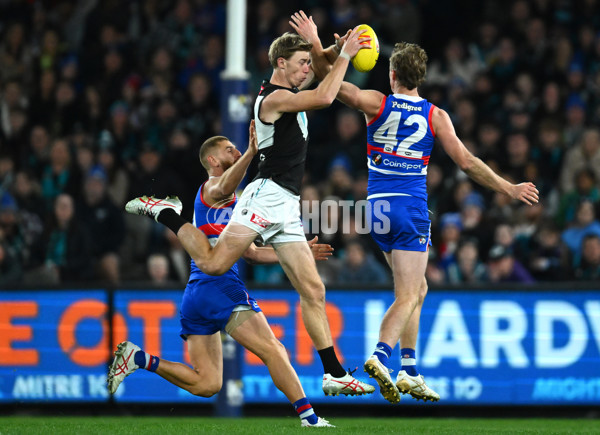 AFL 2023 Round 13 - Western Bulldogs v Port Adelaide - A-1786641