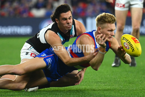 AFL 2023 Round 13 - Western Bulldogs v Port Adelaide - A-1787805