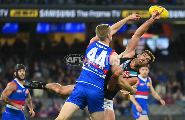 AFL 2023 Round 13 - Western Bulldogs v Port Adelaide - A-1787826