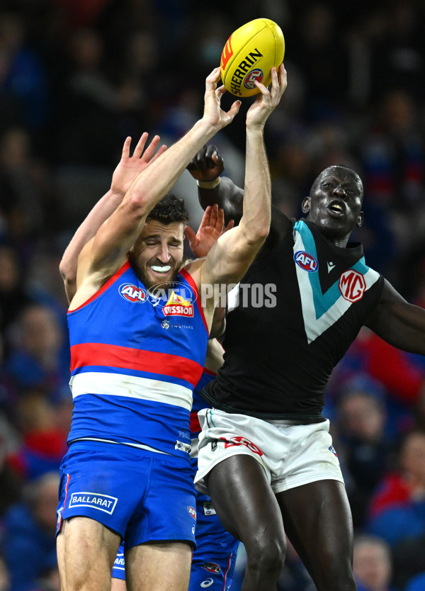 AFL 2023 Round 13 - Western Bulldogs v Port Adelaide - A-1787844
