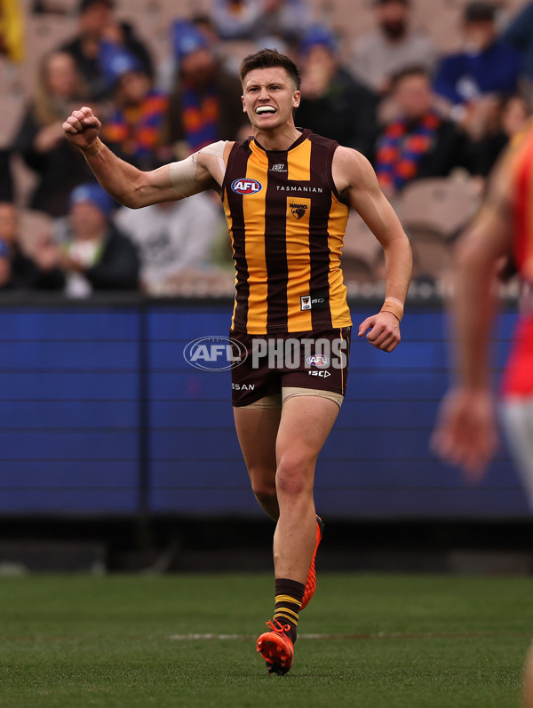 AFL 2023 Round 13 - Hawthorn v Brisbane - A-1792198
