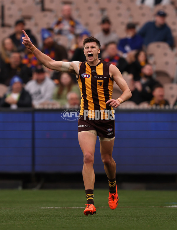 AFL 2023 Round 13 - Hawthorn v Brisbane - A-1792199