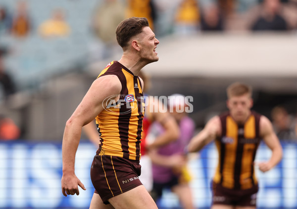 AFL 2023 Round 13 - Hawthorn v Brisbane - A-1792201