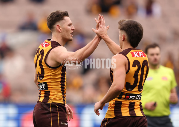 AFL 2023 Round 13 - Hawthorn v Brisbane - A-1792202