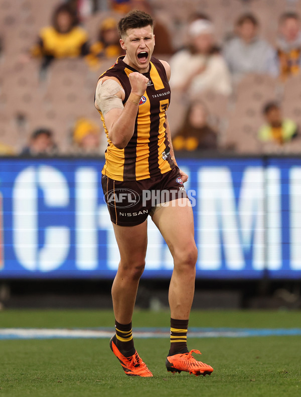 AFL 2023 Round 13 - Hawthorn v Brisbane - A-1795886