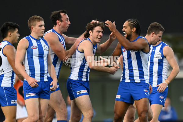 AFL 2023 Round 13 - North Melbourne v GWS - A-1802984