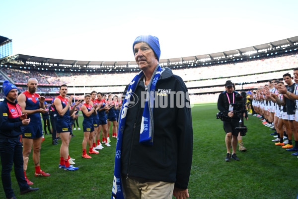 AFL 2023 Round 13 - Melbourne v Collingwood - A-1816389