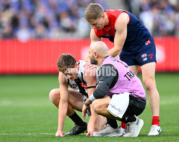 AFL 2023 Round 13 - Melbourne v Collingwood - A-1816506
