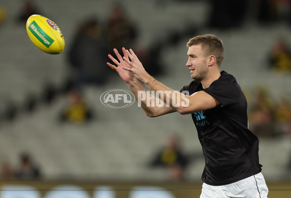 AFL 2023 Round 14 - Richmond v St Kilda - A-1849011