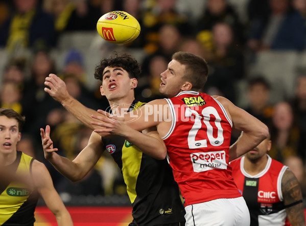 AFL 2023 Round 14 - Richmond v St Kilda - A-1851031