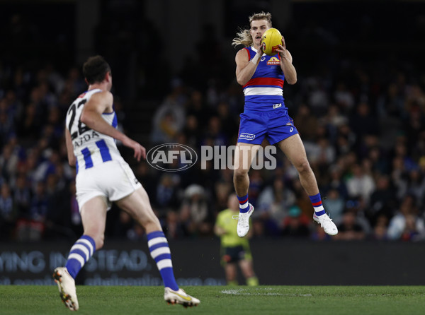 AFL 2023 Round 14 - North Melbourne v Western Bulldogs - A-1859855