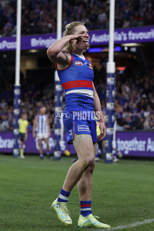 AFL 2023 Round 14 - North Melbourne v Western Bulldogs - A-1859881