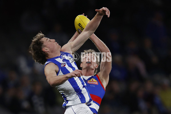 AFL 2023 Round 14 - North Melbourne v Western Bulldogs - A-1860330
