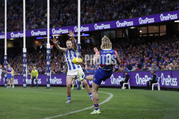 AFL 2023 Round 14 - North Melbourne v Western Bulldogs - A-1860410
