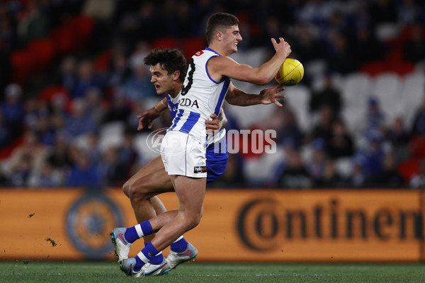 AFL 2023 Round 14 - North Melbourne v Western Bulldogs - A-1862952