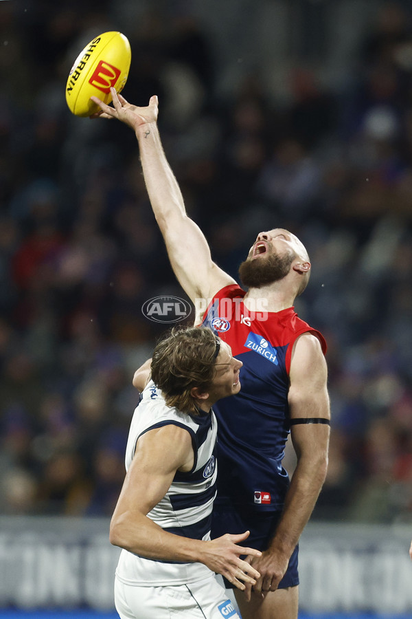 AFL 2023 Round 15 - Geelong v Melbourne - A-1863636