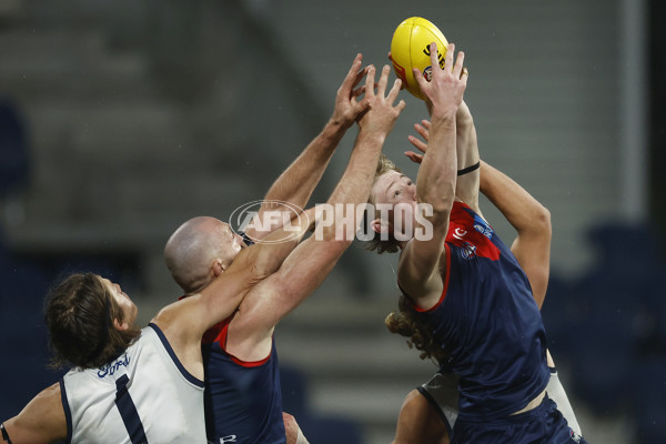 AFL 2023 Round 15 - Geelong v Melbourne - A-1877434
