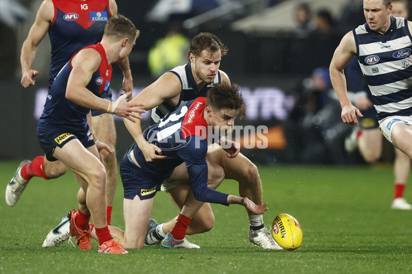 AFL 2023 Round 15 - Geelong v Melbourne - A-1877440