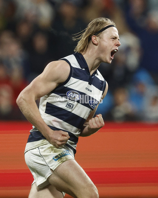 AFL 2023 Round 15 - Geelong v Melbourne - A-1877477