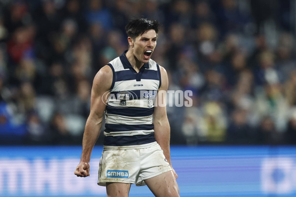 AFL 2023 Round 15 - Geelong v Melbourne - A-1877484