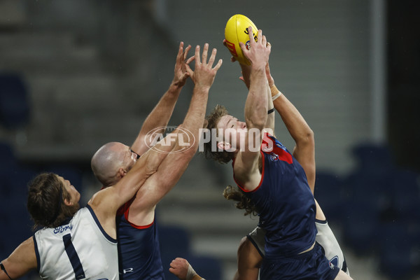 AFL 2023 Round 15 - Geelong v Melbourne - A-1878602