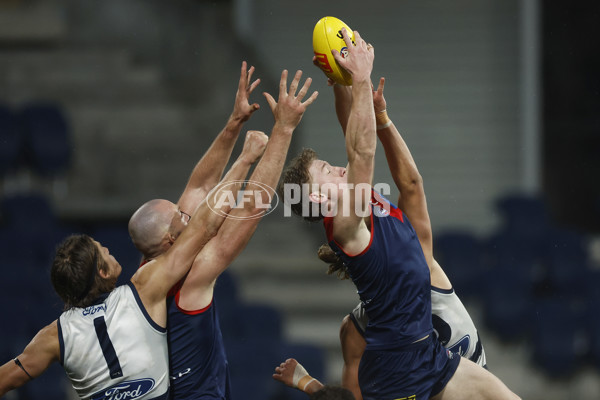 AFL 2023 Round 15 - Geelong v Melbourne - A-1878603