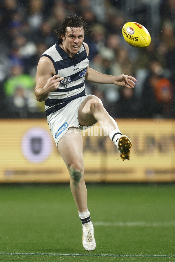 AFL 2023 Round 15 - Geelong v Melbourne - A-1878611