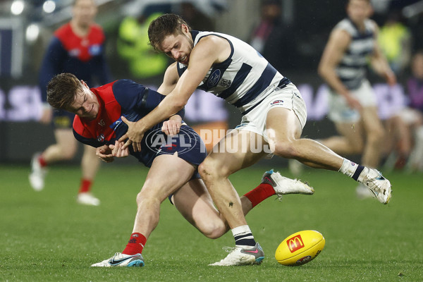 AFL 2023 Round 15 - Geelong v Melbourne - A-1878617