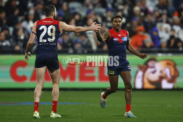 AFL 2023 Round 15 - Geelong v Melbourne - A-1878621