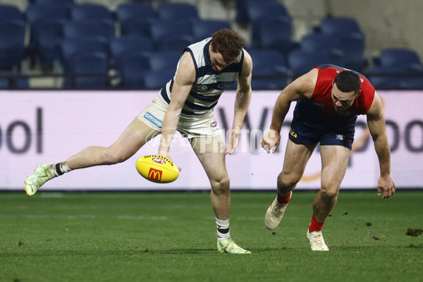 AFL 2023 Round 15 - Geelong v Melbourne - A-1878629
