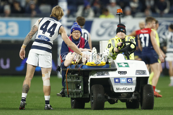 AFL 2023 Round 15 - Geelong v Melbourne - A-1880337