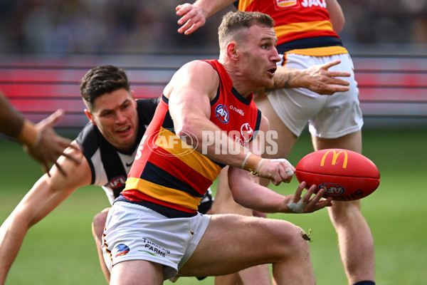 AFL 2023 Round 15 - Collingwood v Adelaide - A-1905735