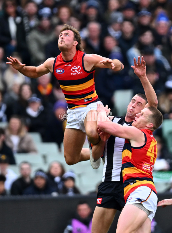 AFL 2023 Round 15 - Collingwood v Adelaide - A-1905737