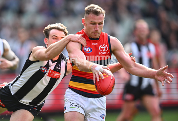 AFL 2023 Round 15 - Collingwood v Adelaide - A-1905740