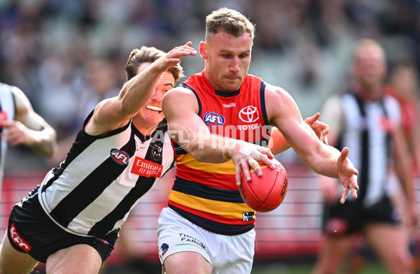 AFL 2023 Round 15 - Collingwood v Adelaide - A-1905741