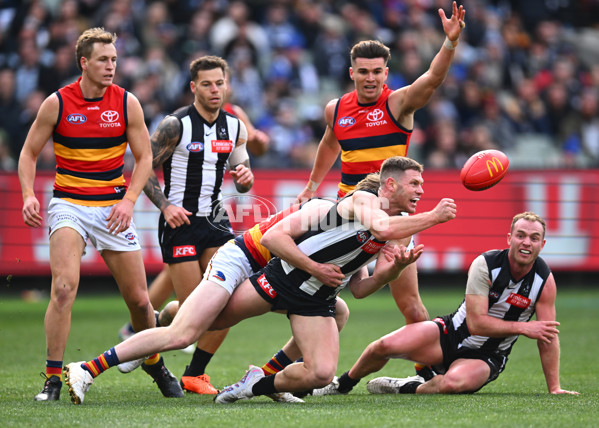 AFL 2023 Round 15 - Collingwood v Adelaide - A-1905743