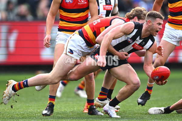 AFL 2023 Round 15 - Collingwood v Adelaide - A-1905745