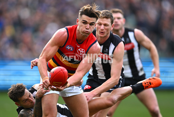 AFL 2023 Round 15 - Collingwood v Adelaide - A-1905750