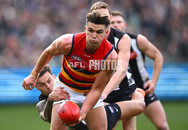 AFL 2023 Round 15 - Collingwood v Adelaide - A-1905751