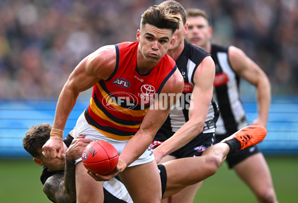 AFL 2023 Round 15 - Collingwood v Adelaide - A-1905752