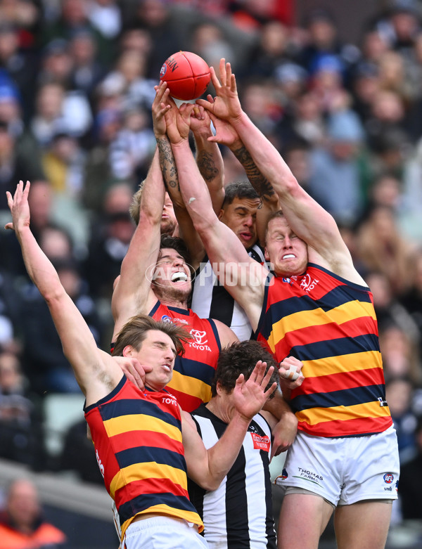 AFL 2023 Round 15 - Collingwood v Adelaide - A-1905757