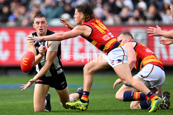 AFL 2023 Round 15 - Collingwood v Adelaide - A-1905759