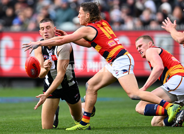 AFL 2023 Round 15 - Collingwood v Adelaide - A-1905764