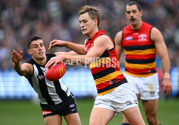 AFL 2023 Round 15 - Collingwood v Adelaide - A-1905767
