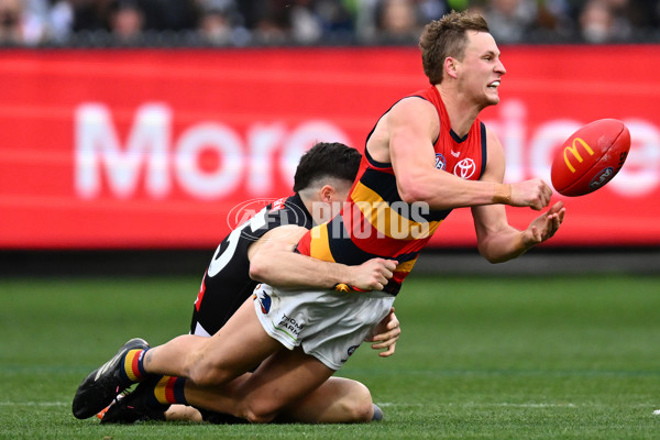 AFL 2023 Round 15 - Collingwood v Adelaide - A-1905768
